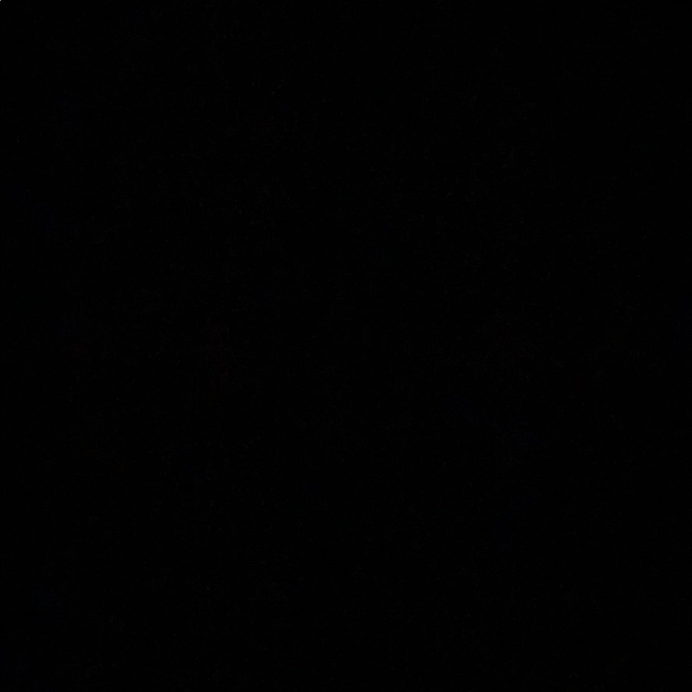 Meet your Posher, Abigail